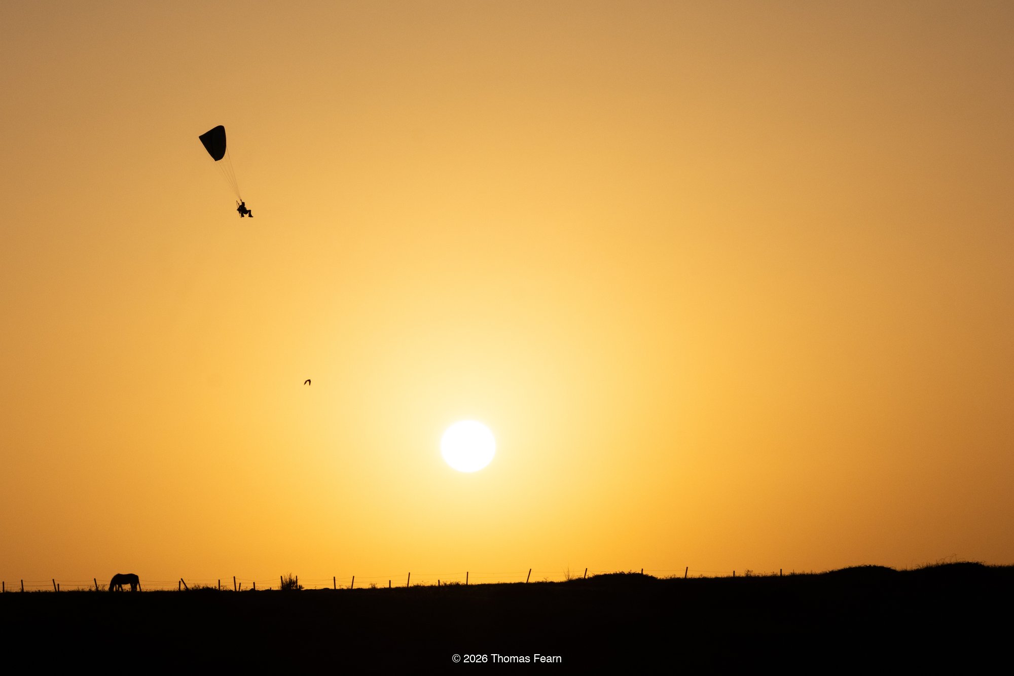 Sunset over fields with silhouettes
