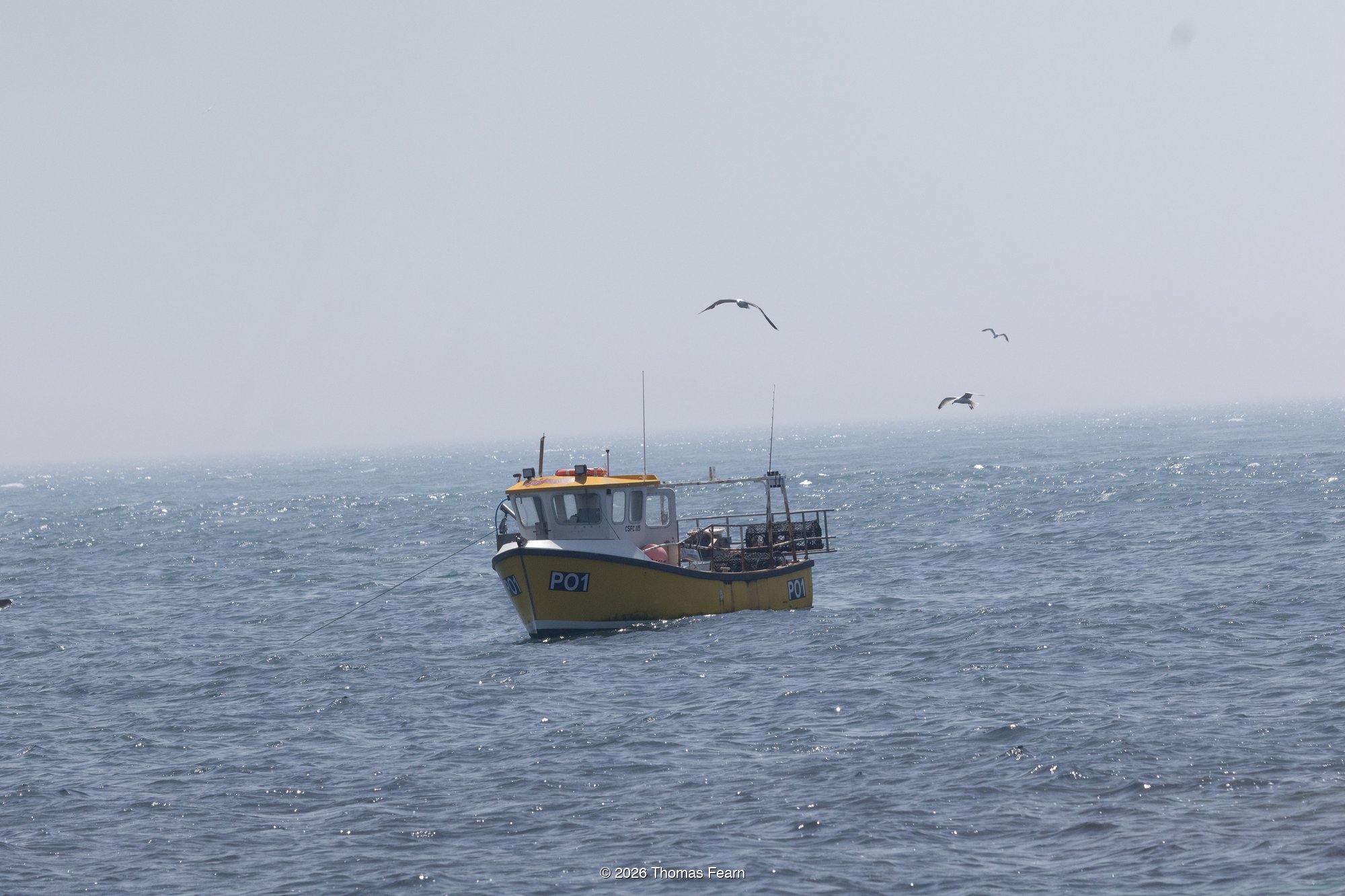 Lone fishing boat on misty silver sea